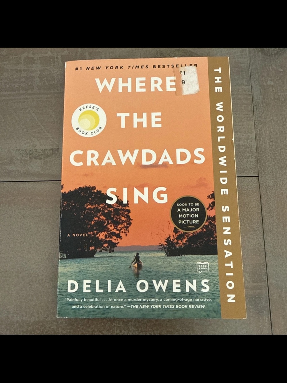 Where the Crawdads Sing by Delia Owens - Orange & Teal Cover